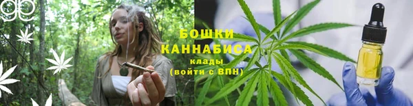 прущие грибы Беломорск