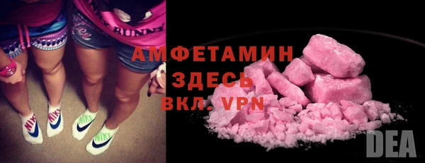 прущие грибы Беломорск