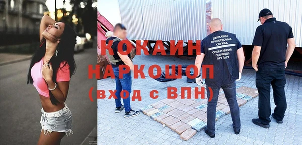 прущие грибы Беломорск