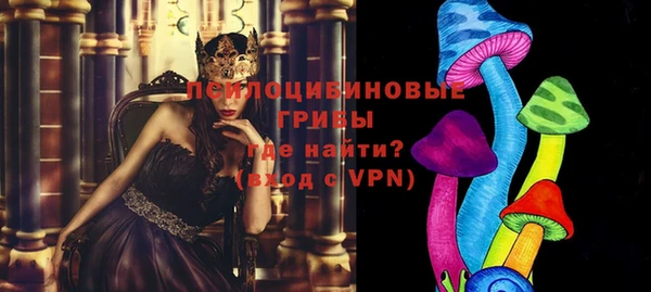 прущие грибы Беломорск