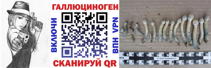 Галлюциногенные грибы мицелий Кувандык